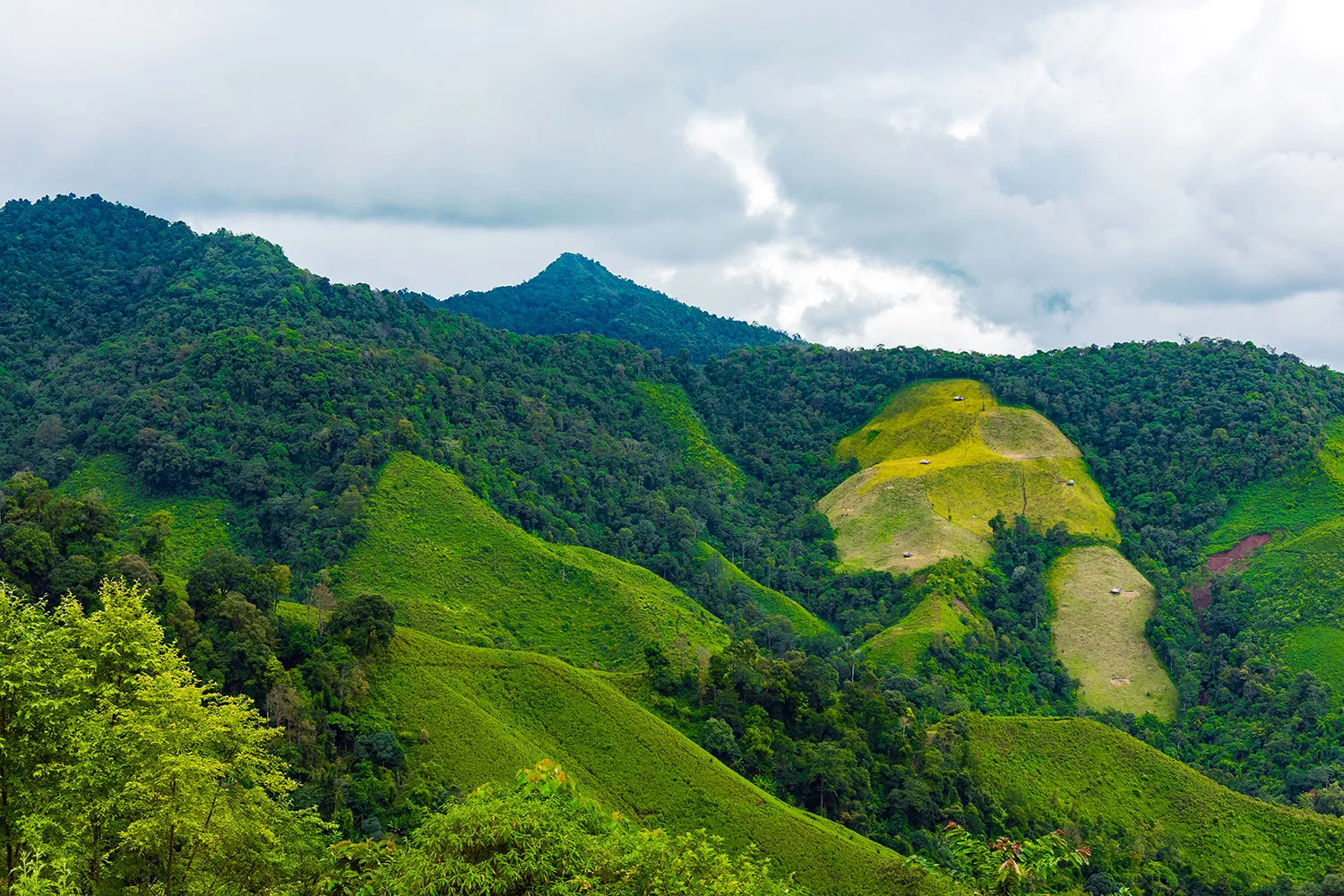 Doi Phu Kha National Park