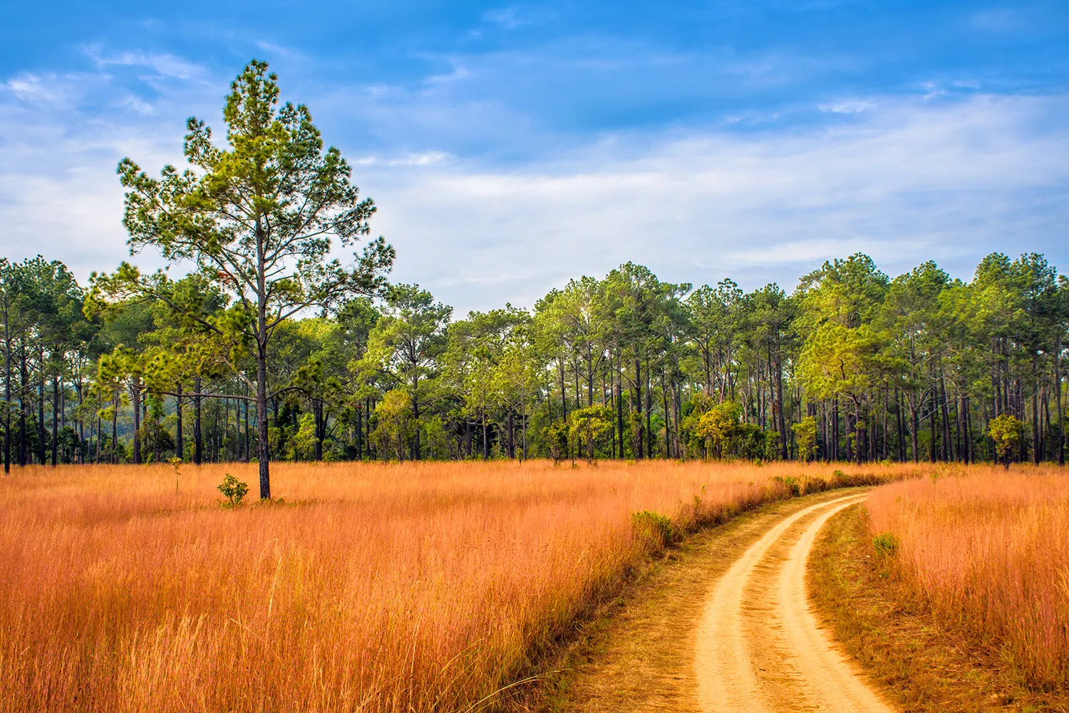 Thung Salaeng Luang National Park