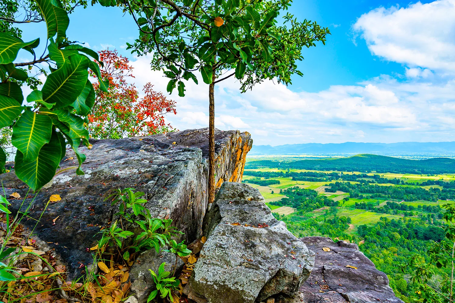 Hanging Rock Phayao