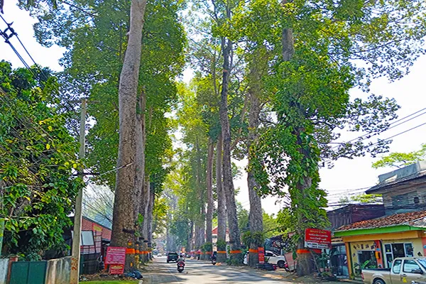 Chiang Mai Lamphun Road